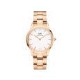 DANIEL WELLINGTON <br> Iconic Link <br>