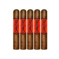 CAMACHO <br>COROJO ROBUSTO