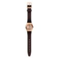 SWATCH <br> Brownee <br>