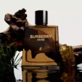 BURBERRY <br> HERO <br> EAU DE PARFUM