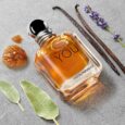 G.ARMANI <br> STRONGER WITH YOU HIM <br> EAU DE TOILETTE